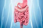 The reality of modeling irritable bowel syndrome progress and challenges